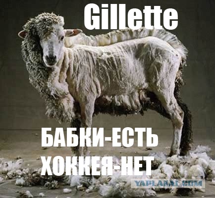 Три Один Дома