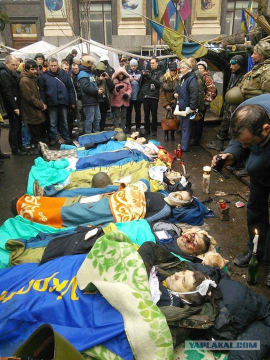 Украина и продажные блогеры