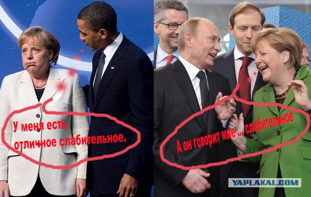 Желающим пожабить.