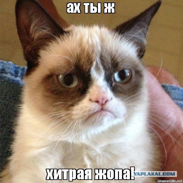 Вежливость - залог успеха.