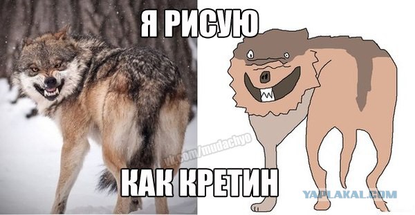 Комменты из соцсетей