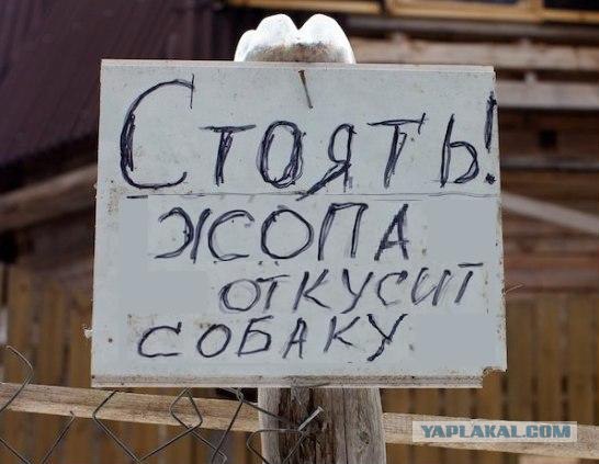 Стоять-бояться