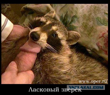 Предметы не для мастурбации