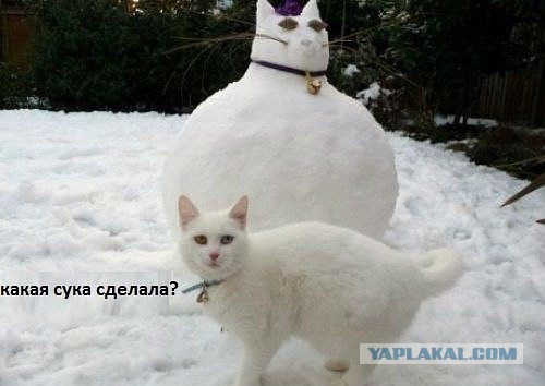Для настроения!