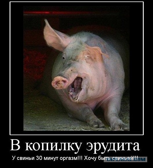Смешные комменты из соцсетей