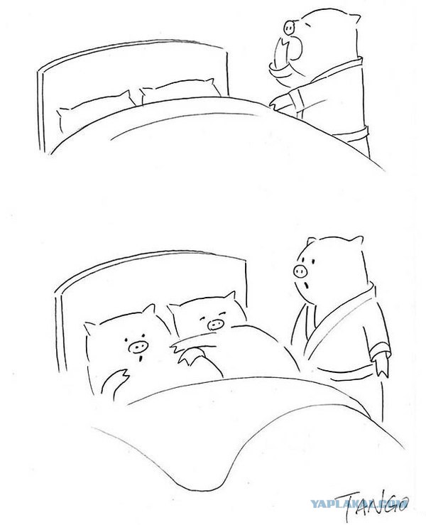 Обыкновенные рисунки