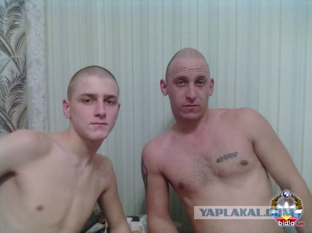 Весёлые картинки