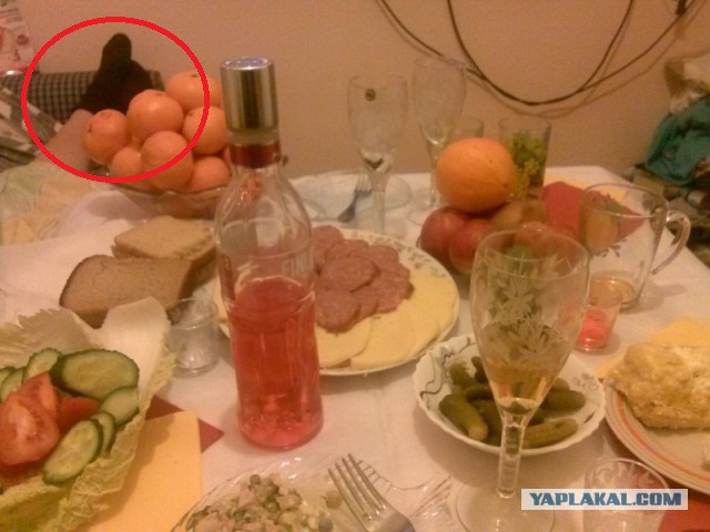 Как встретили 2015....