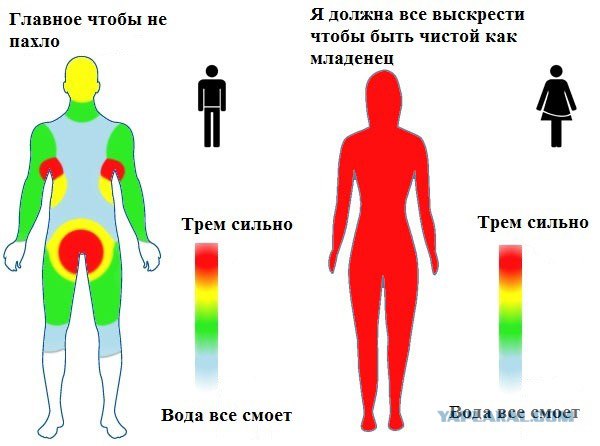 Смешные картинки
