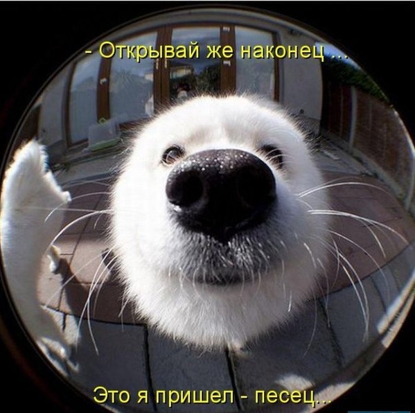 Валентинка 2