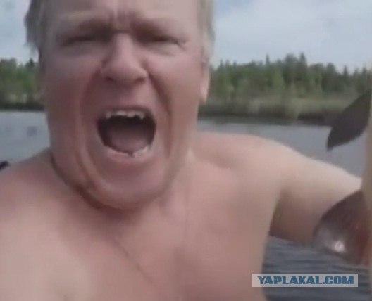 А в сказке волк на хвост ловил