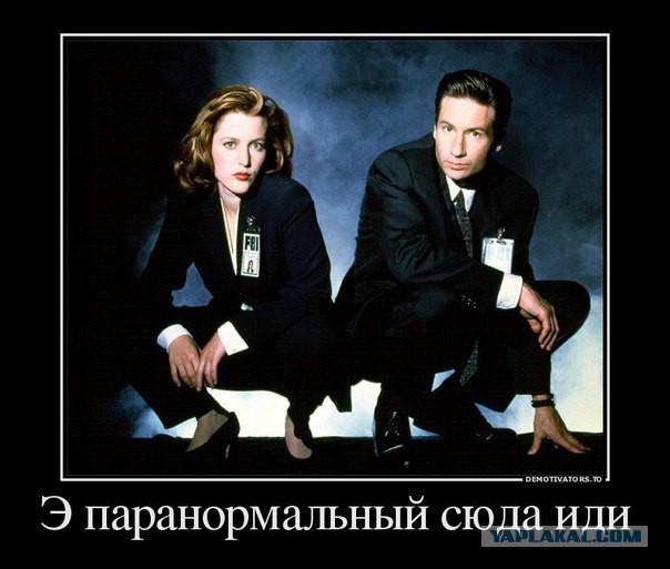 Небольшая подборка демотиваторов