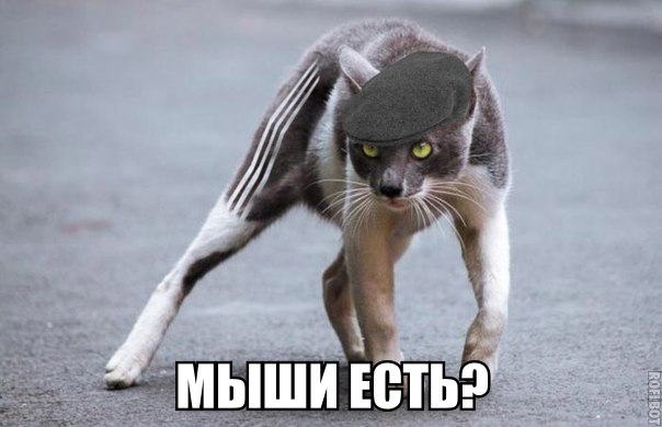 Картинки и демотиваторы