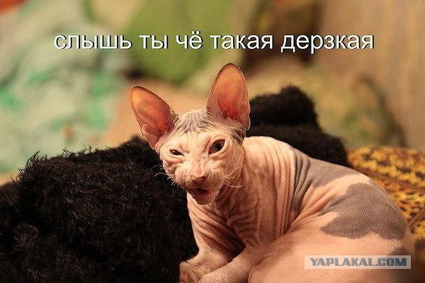 Картинки на утро вторника