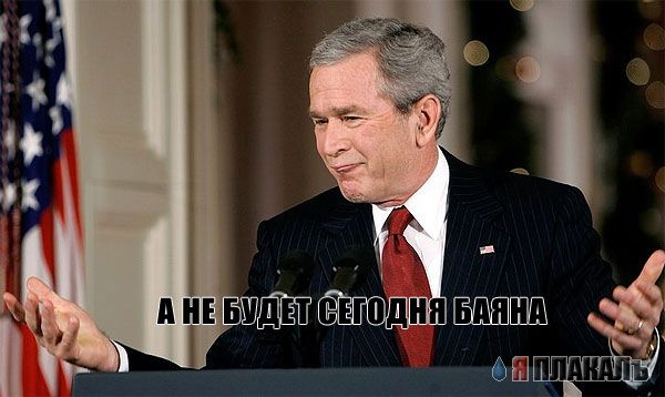 Все о БУШЕ