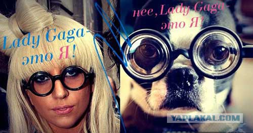 Бывают в жизни совпадения