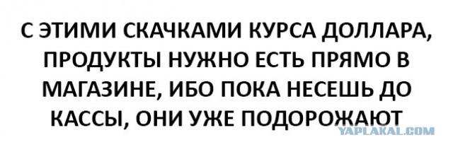 Подборка картинок из сети