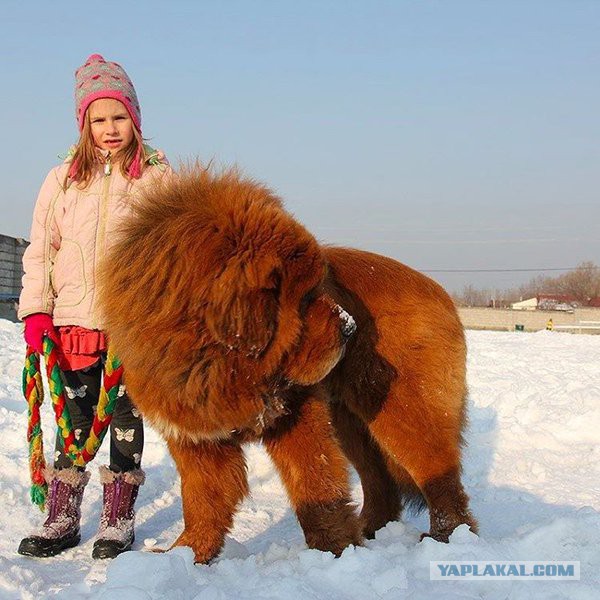 Больше, чем фото