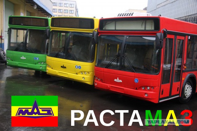 Автобусная авантюра от МАЗа, ставшая легендой