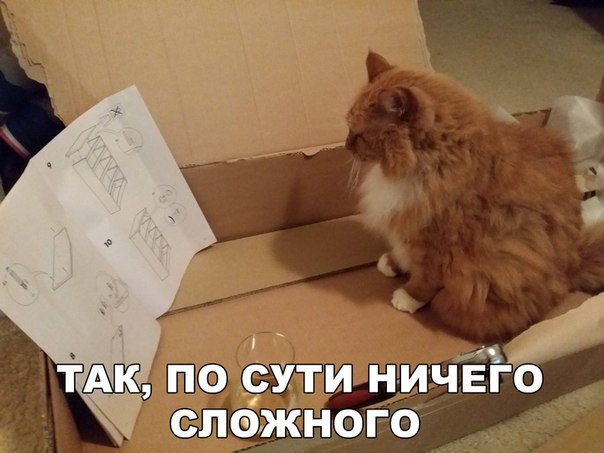 Мохнатые беспредельщики