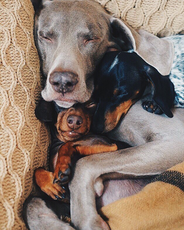 Подборка интересных и веселых картинок