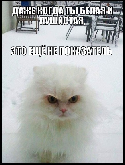 Замужество. А вдруг? Здесь?