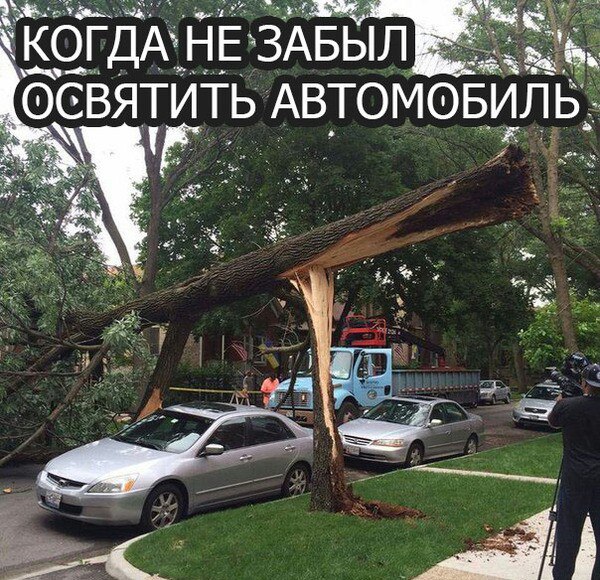 Весёлые картинки для настроения