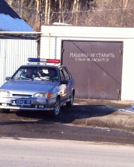 Бурление жизни в соцсетях