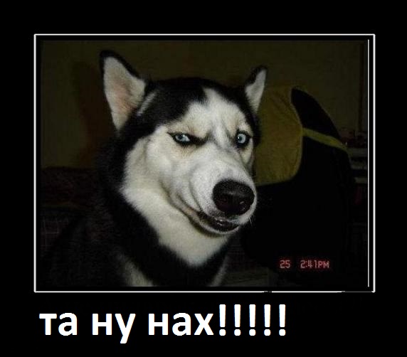 Простите, девушки, но косички теперь не только ваша тема