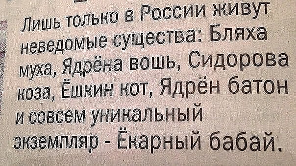 Жизнь как она есть 2