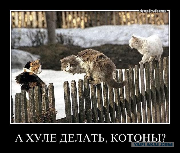 Терять мне больше нечего