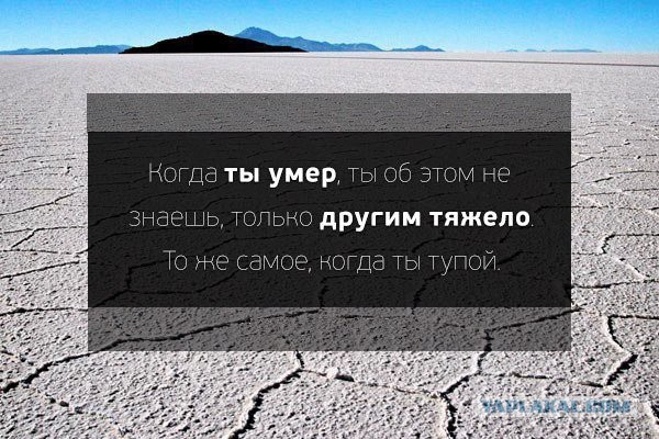 Подборка картинок