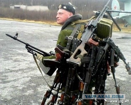 Алабай в стае бродячих собак. Нападение