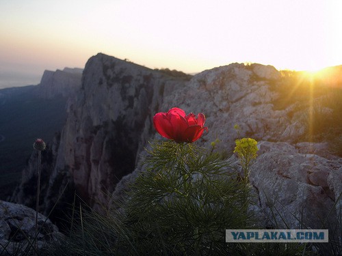 По майскому Крыму