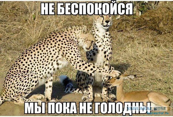 Очередная подборка школьной наркомании из соц.сетей