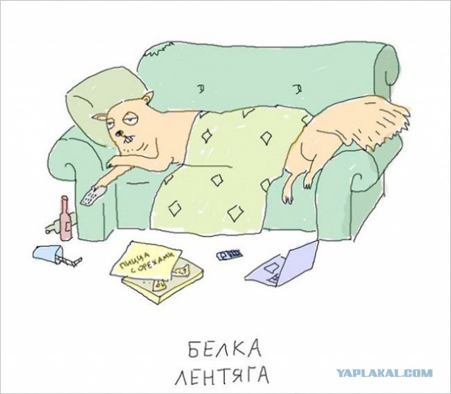 Давайте рисунки повыкладываем...