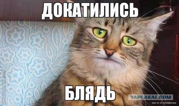 Такой убедительный плоскоземельщик