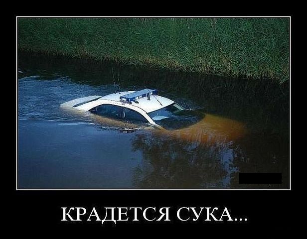 Товарищ! Придя на работу не ахай! А просто картинки смотри
