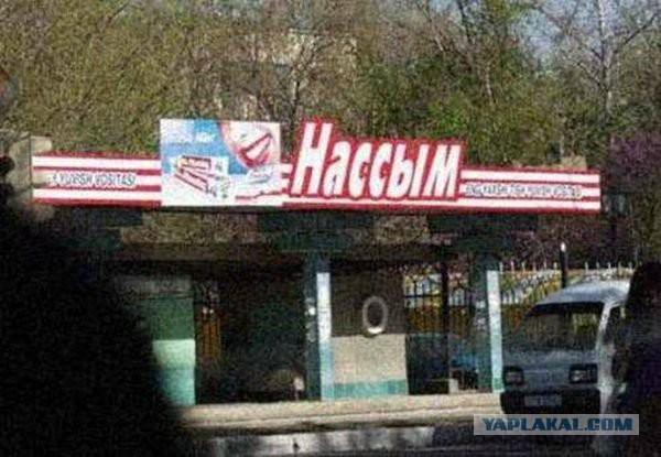 Итоги проверки пользователей