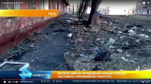 Как немцев приучили к чистоте