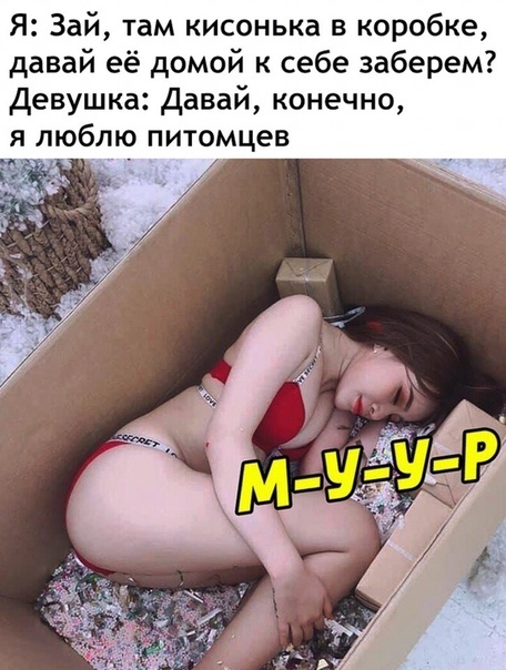 Прикольные картинки абавсём