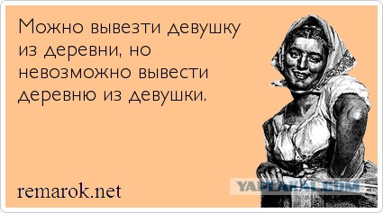 Бабы - дуры