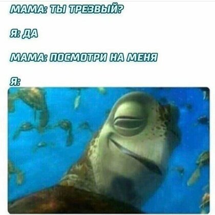 Картинки с надписями и анекдоты 09.08.19
