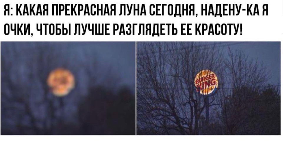 13346137.jpg