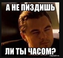В Рыбинске молодожёнам на свадьбу вместо подарков гости принесли собачий корм