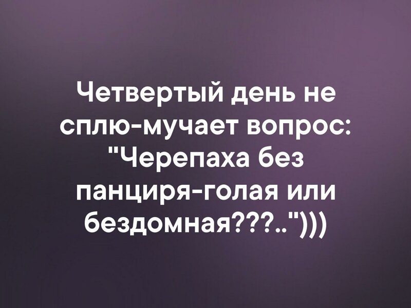 13467137.jpg