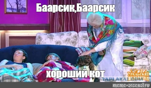 Большая полосатая кошка вышла к людям на трассе