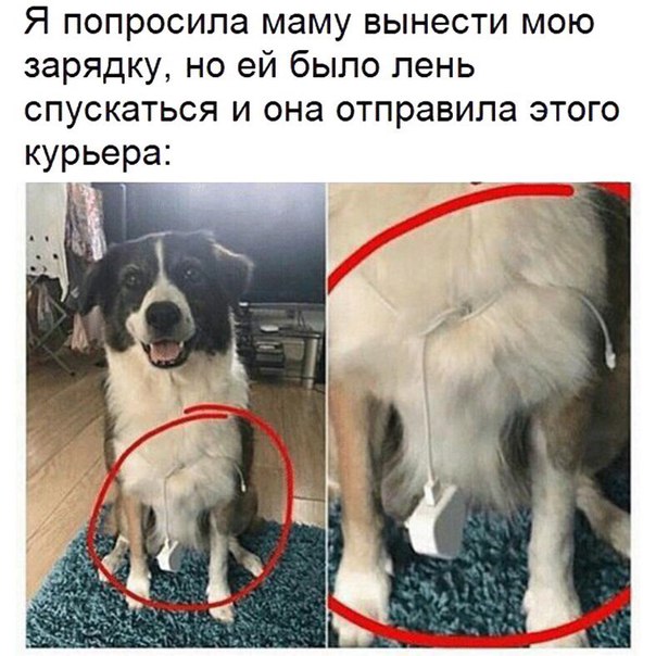 Немного картинок для настроения 28.01.20