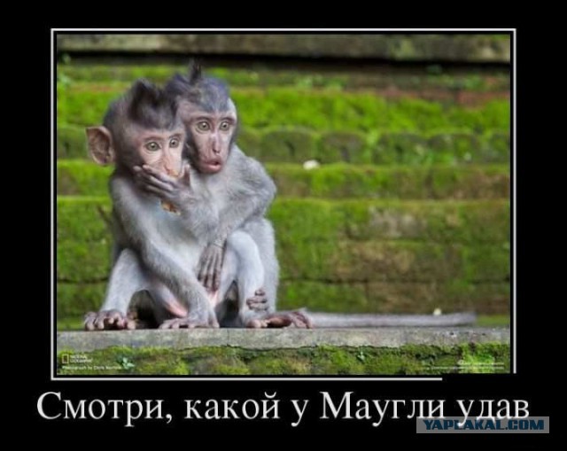 Подборках древних демотиваторов. Ч. 1
