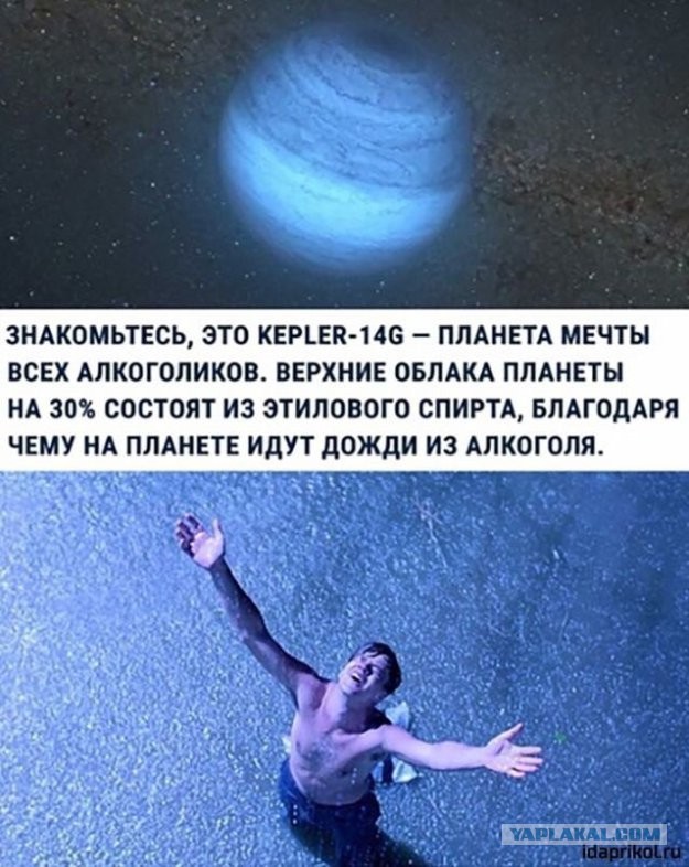 Так себе картинки 10.08.21